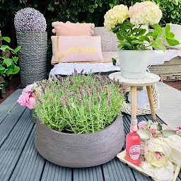 IDEALIST Lite Ribbed Light Concrete Bowl Planter
