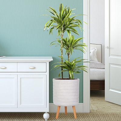 IDEALIST Lite Plaited Style Cylinder Planter on Legs, Round Pot Plant Stand Indoor