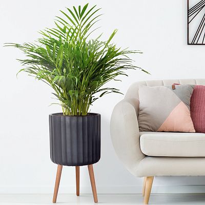 IDEALIST Lite Modern Ribbed Cylinder Planter on Legs, Round Pot Plant Stand Indoor