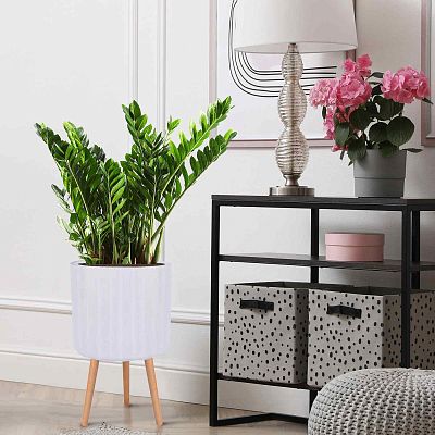 IDEALIST Lite Modern Ribbed Cylinder Planter on Legs, Round Pot Plant Stand Indoor