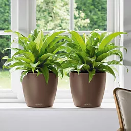 LECHUZA CLASSICO Color Round Poly Resin Self-watering Planter