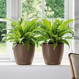 LECHUZA CLASSICO Color Round Poly Resin Self-watering Planter