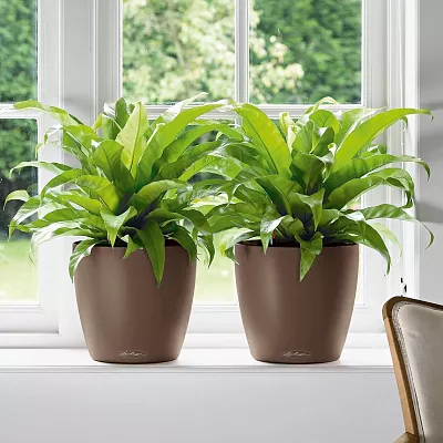 LECHUZA CLASSICO Color Round Poly Resin Self-watering Planter