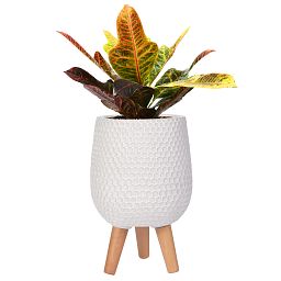 IDEALIST Lite Honeycomb Style Egg Planter on Legs, Round Pot Plant Stand Indoor