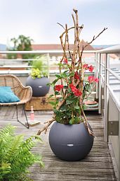 LECHUZA PURO Color Round Poly Resin Self-watering Planter
