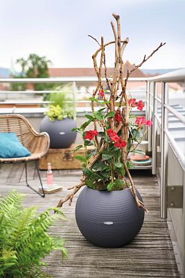 LECHUZA PURO Color Round Poly Resin Self-watering Planter