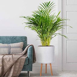 IDEALIST Lite Plaited Style Cylinder Planter on Legs, Round Pot Plant Stand Indoor