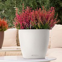 LECHUZA CLASSICO Color 18 White Poly Resin Self-watering Planter with ...