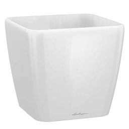 LECHUZA QUADRO Square Poly Resin Planter Only