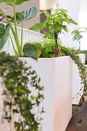 Fibrestone Jort Rectangle Planter by Idealist Premium