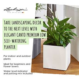 LECHUZA CANTO Low Square Poly Resin Self-watering Planter