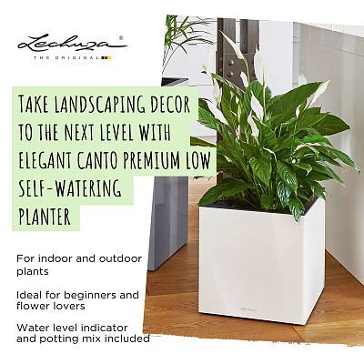 LECHUZA CANTO Low Square Poly Resin Self-watering Planter