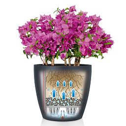 LECHUZA CLASSICO Color Round Poly Resin Self-watering Planter Set