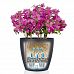 LECHUZA CLASSICO Color Round Poly Resin Self-watering Planter Set