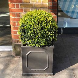 IDEALIST Lite Faux Lead Chelsea Box Square Light Concrete Planter