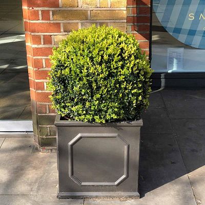 IDEALIST Lite Faux Lead Chelsea Box Square Light Concrete Planter