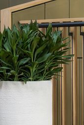 Fibrestone Max Round Planter by Idealist Premium
