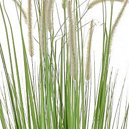 Dogtail with Pot Artificial Grass Plant