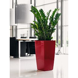 LECHUZA CUBICO Square Tall Poly Resin Self-watering Planter