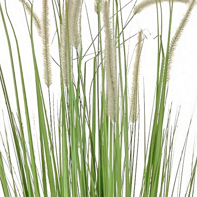 Dogtail with Pot Artificial Grass Plant