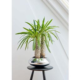 Round Fiberstone Bowl Glossy Tara Planter by Idealist Premium