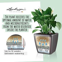 LECHUZA Quadro LS Square Poly Resin Self-watering Planter
