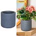IDEALIST Lite Honeycomb Style Table and Hanging Cylinder Round Plant Pot Dual Use Indoor Planter