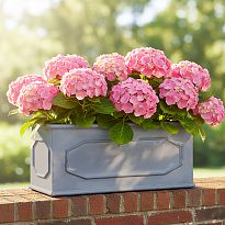 IDEALIST Lite Chelsea Trough Garden Planter, Faux Lead Light Stone Gre...