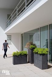 Raised Trough Concrete GRC Planter by Fleur Ami DIVISION