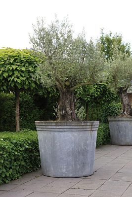 Vidar Outdoor Galvanised Steel Round Planter