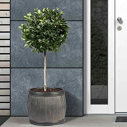 IDEALIST Lite Vertical Ribbed Vintage Style Barrel Round Planter