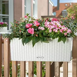 LECHUZA BALCONERA Cottage Trough Poly Resin Self-watering Planter