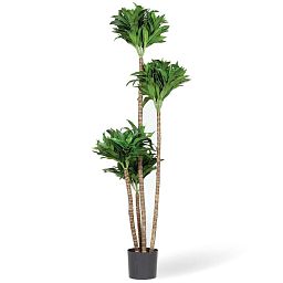 DRACAENA FRAGRANS Artificial Tree Plant