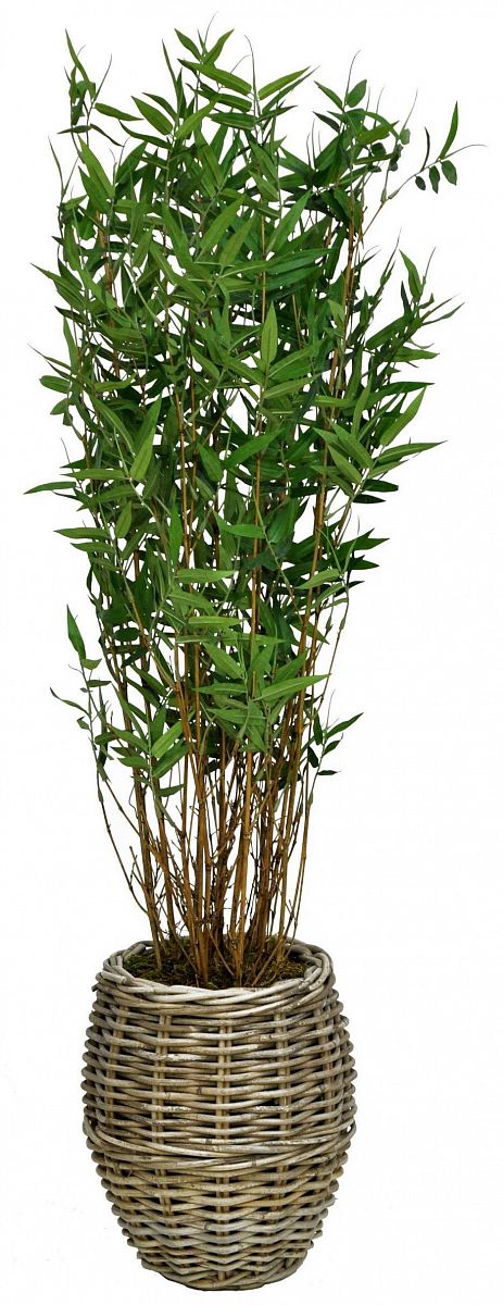 Bamboo Oriental Flame Retardant Artificial Tree Plant