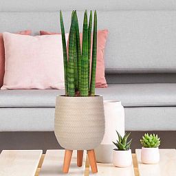 IDEALIST Lite Plaited Style Egg Planter on Legs, Round Pot Plant Stand Indoor