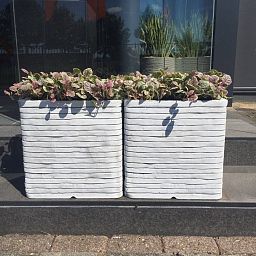 Square Resin Planter by Cadix Capi Tutch Row