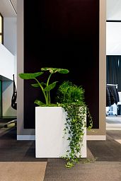 Square Fiberstone Planter by Idealist Premium JUMBO