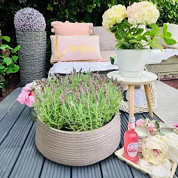 IDEALIST Lite Large Ribbed Light Concrete Bowl Planter