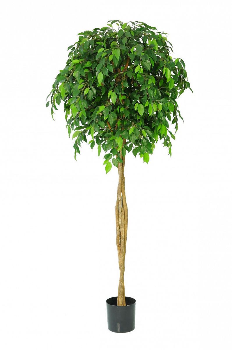 Ficus Natasha Topping Artificial Tree Plant