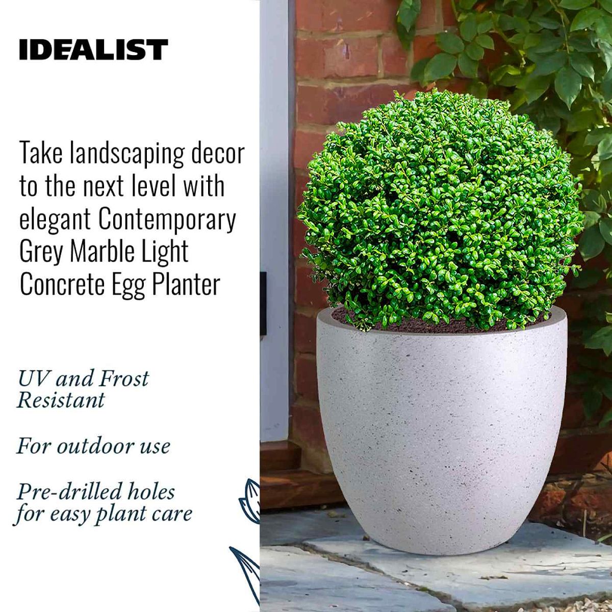 Contemporary Light Concrete Egg Planter by Idealist Lite