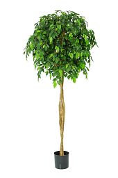 Ficus Natasha Topping Artificial Tree Plant