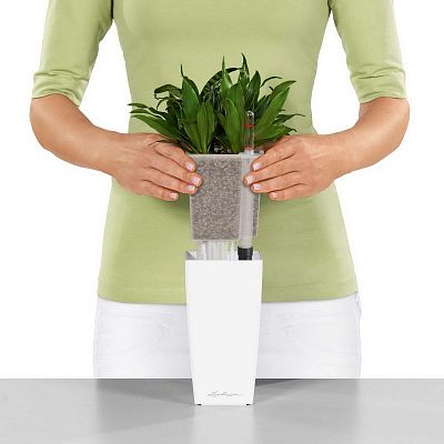 LECHUZA CUBI Square Poly Resin Indoor Self-watering Planter