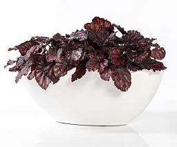 Fibrestone Matt Dorant Round Planter by Idealist Premium