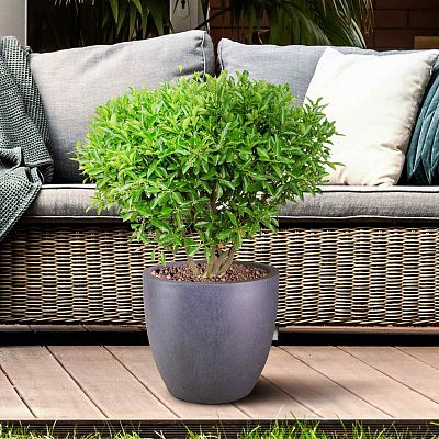 IDEALIST Lite Contemporary Light Concrete Egg Planter