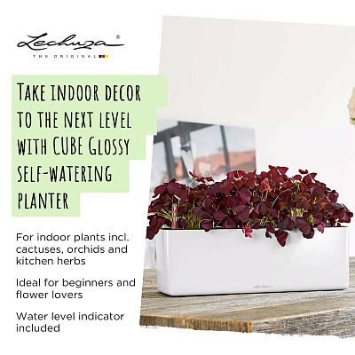 LECHUZA CUBE Glossy Triple Trough Poly Resin Self-watering Planter