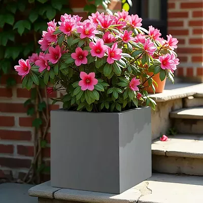 IDEALIST Lite Square Box Contemporary Light Concrete Planter