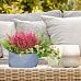 Geometry Style Bowl Planter Outdoor Plant Pot by Idealist Lite