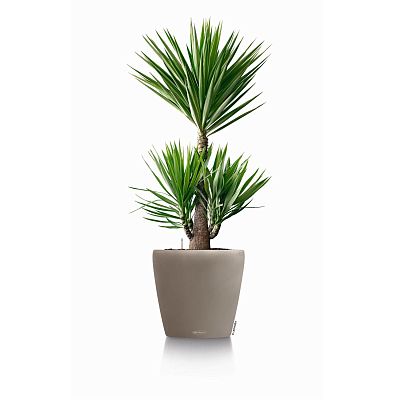 LECHUZA CLASSICO Color Round Poly Resin Self-watering Planter