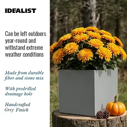 IDEALIST Lite Square Box Contemporary Light Concrete Planter