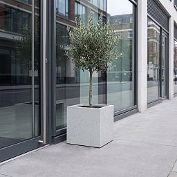 IDEALIST Lite Square Box Contemporary Marble Light Concrete Planter